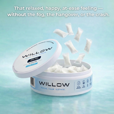WILLOW CHILL POUCHES