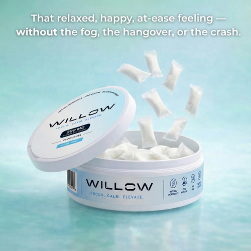 WILLOW CHILL POUCHES